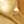 Rolled Tory Gold