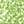 Green /  SPONGE PRINT