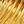 Rolled Gold / Multi
