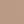 Gray Heron