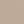 Gray Heron