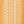 ORANGE / IVORY
