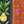 MULTI