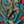 Blue / Multi