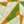 FRENCH CREAM LEI FLORAL COMPASS