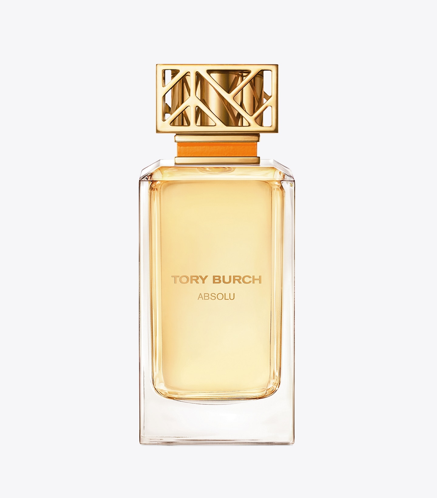 Absolu Eau De Parfum Spray - 3.4 Oz / 100 ML