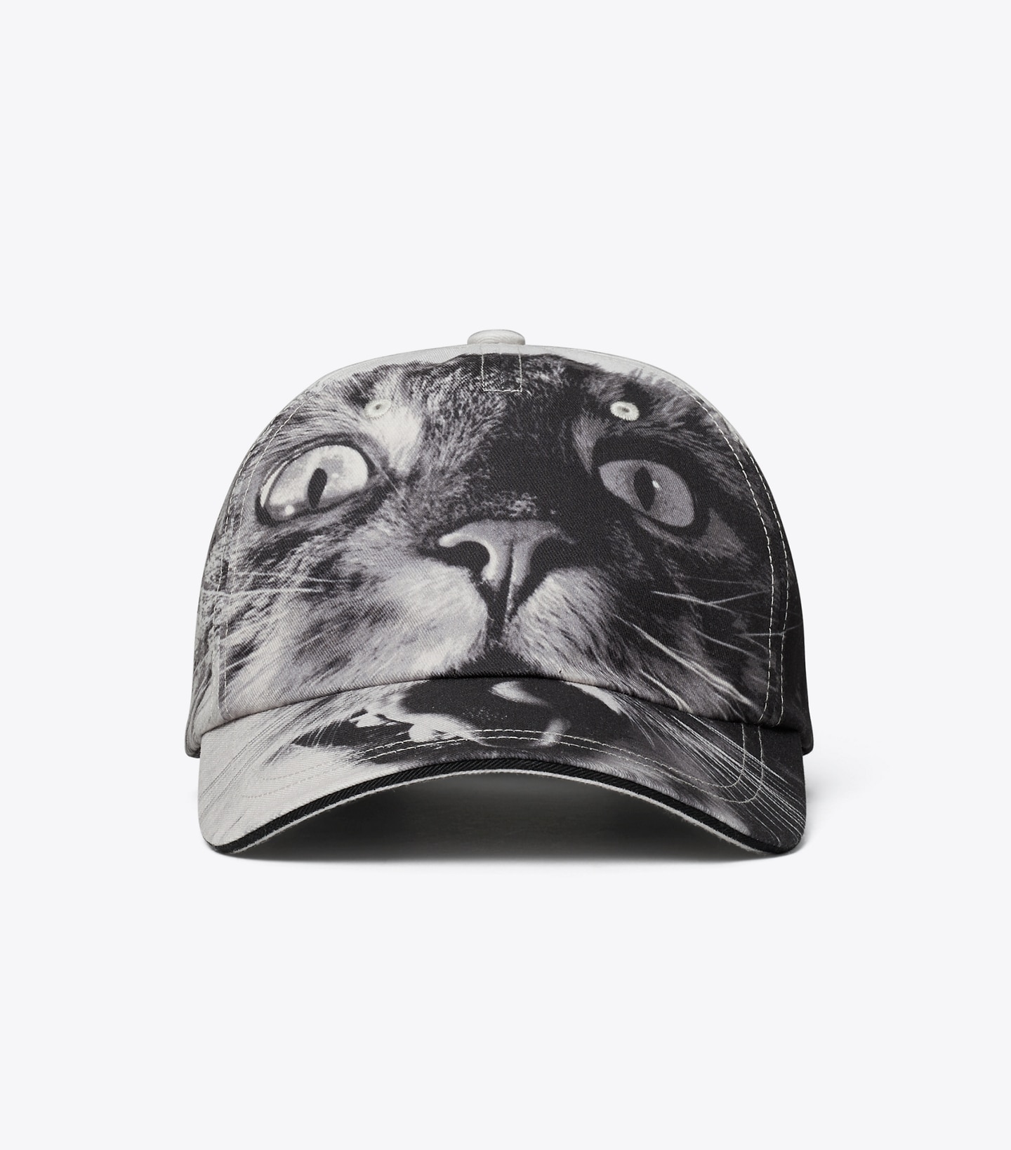 Cat Printed Baseball Cap