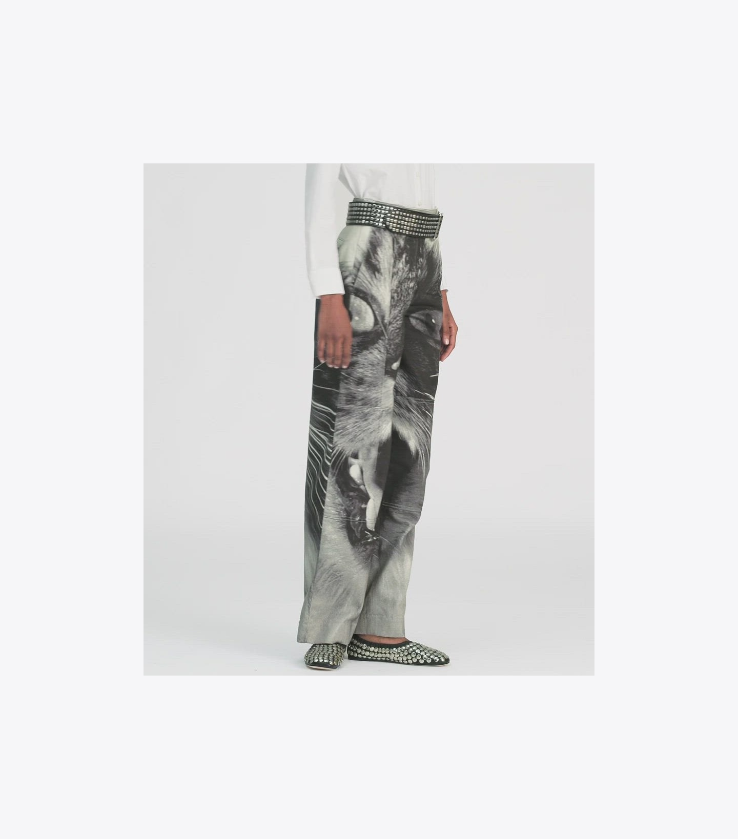 Cat Printed Cargo Pant