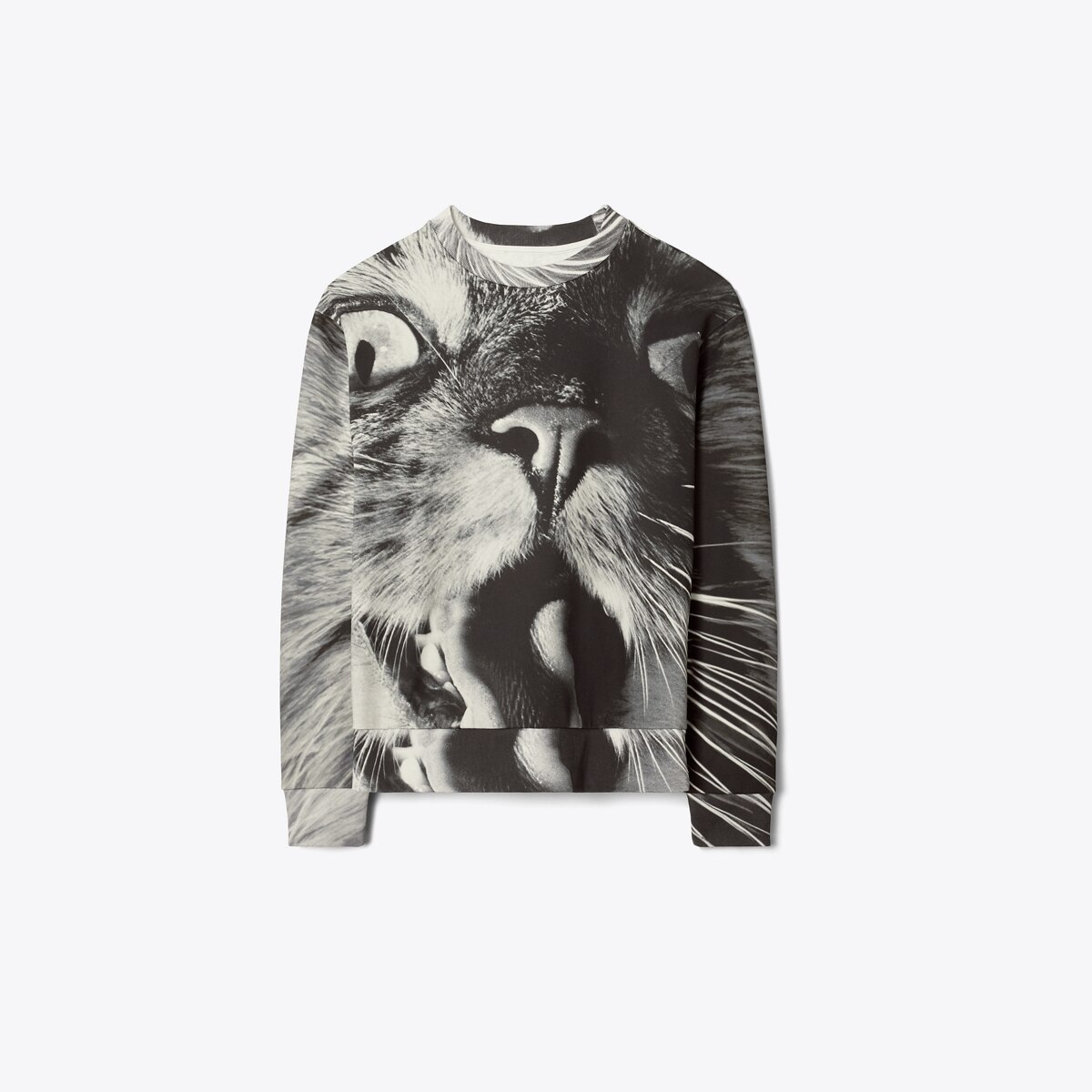 Cat crewneck online