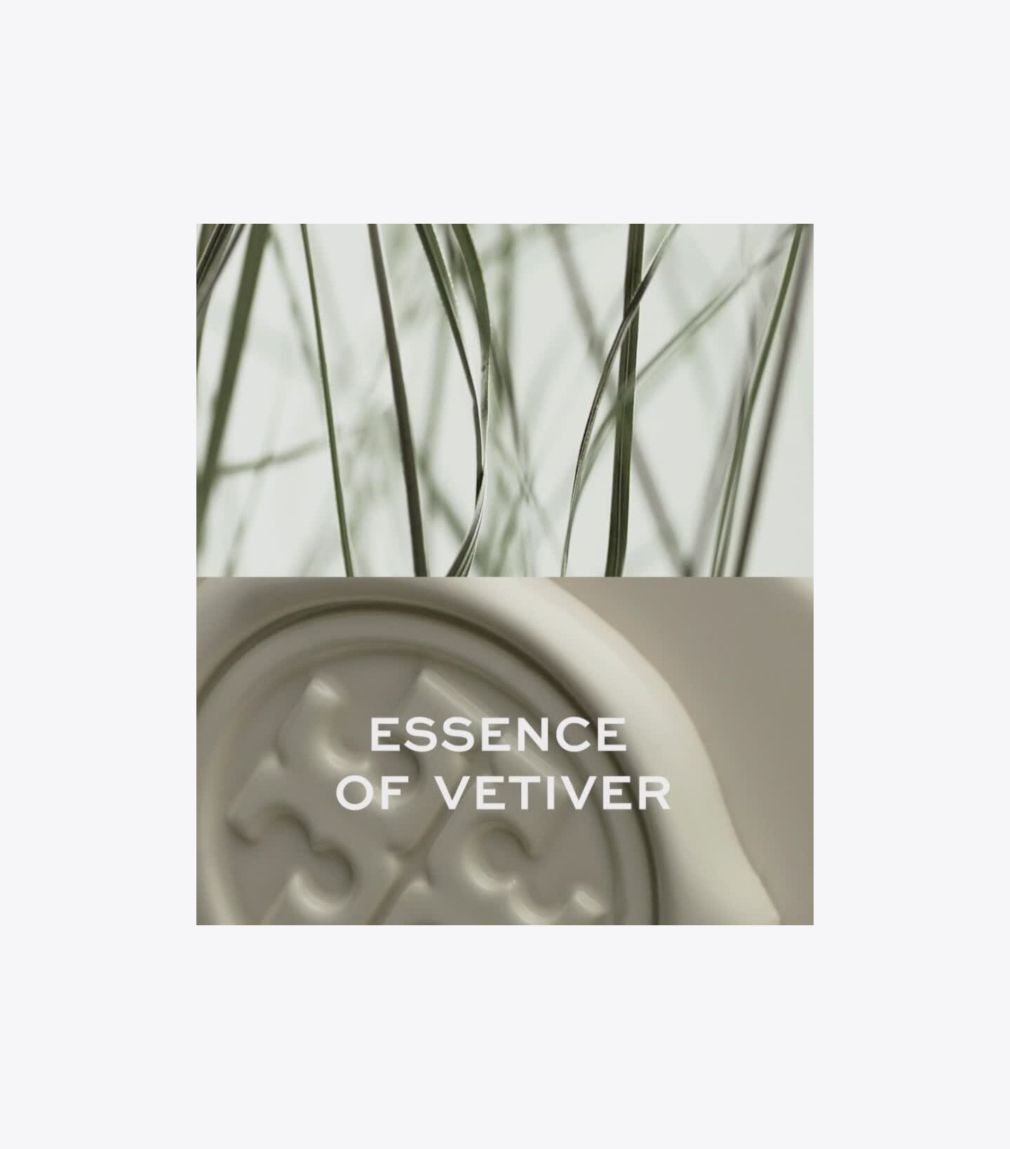 Essence Of Vetiver Layering Oil