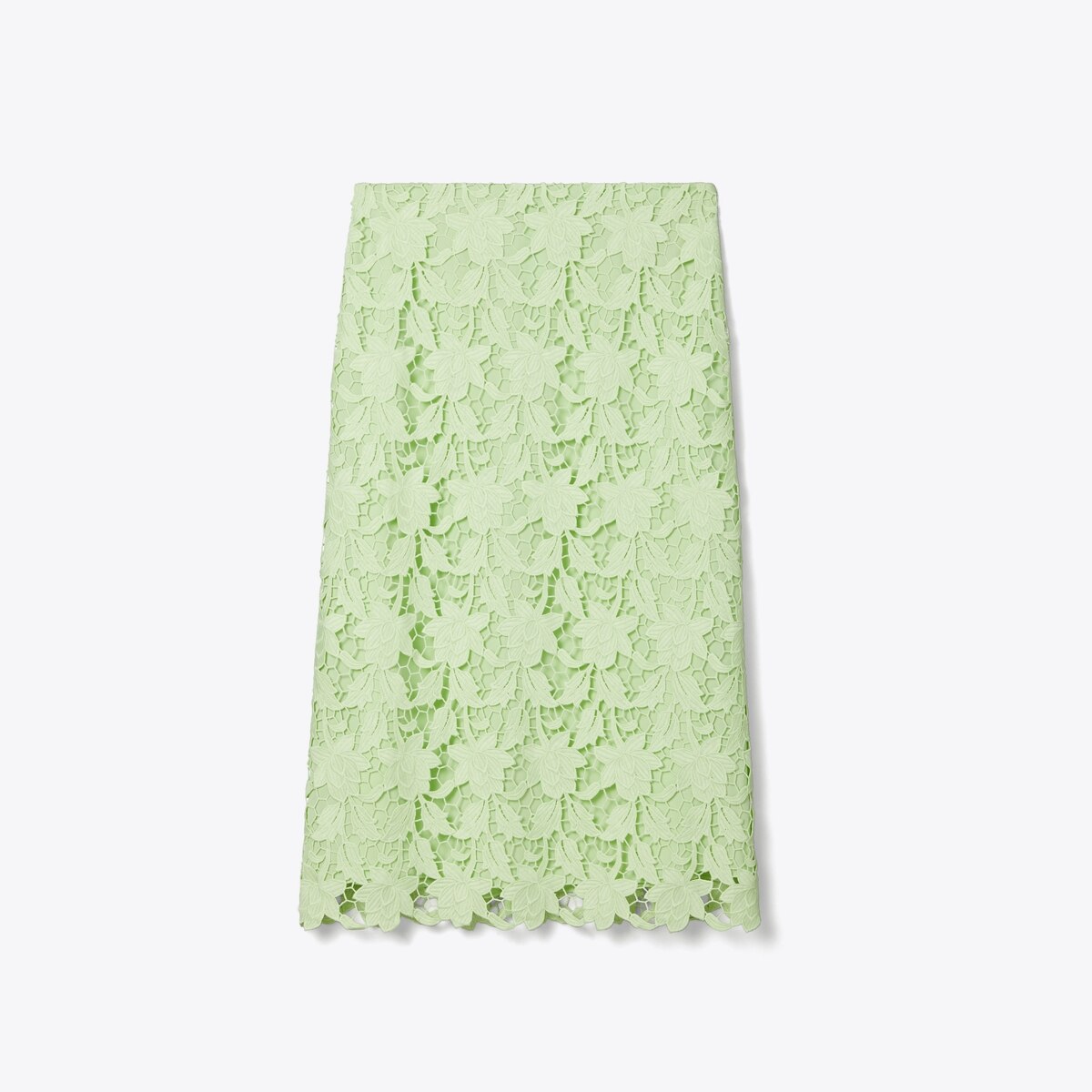 Portobello Lace Skirt – THE TOÉ