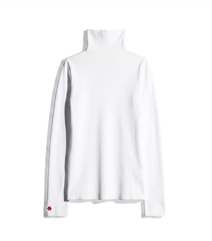 Knit Turtleneck