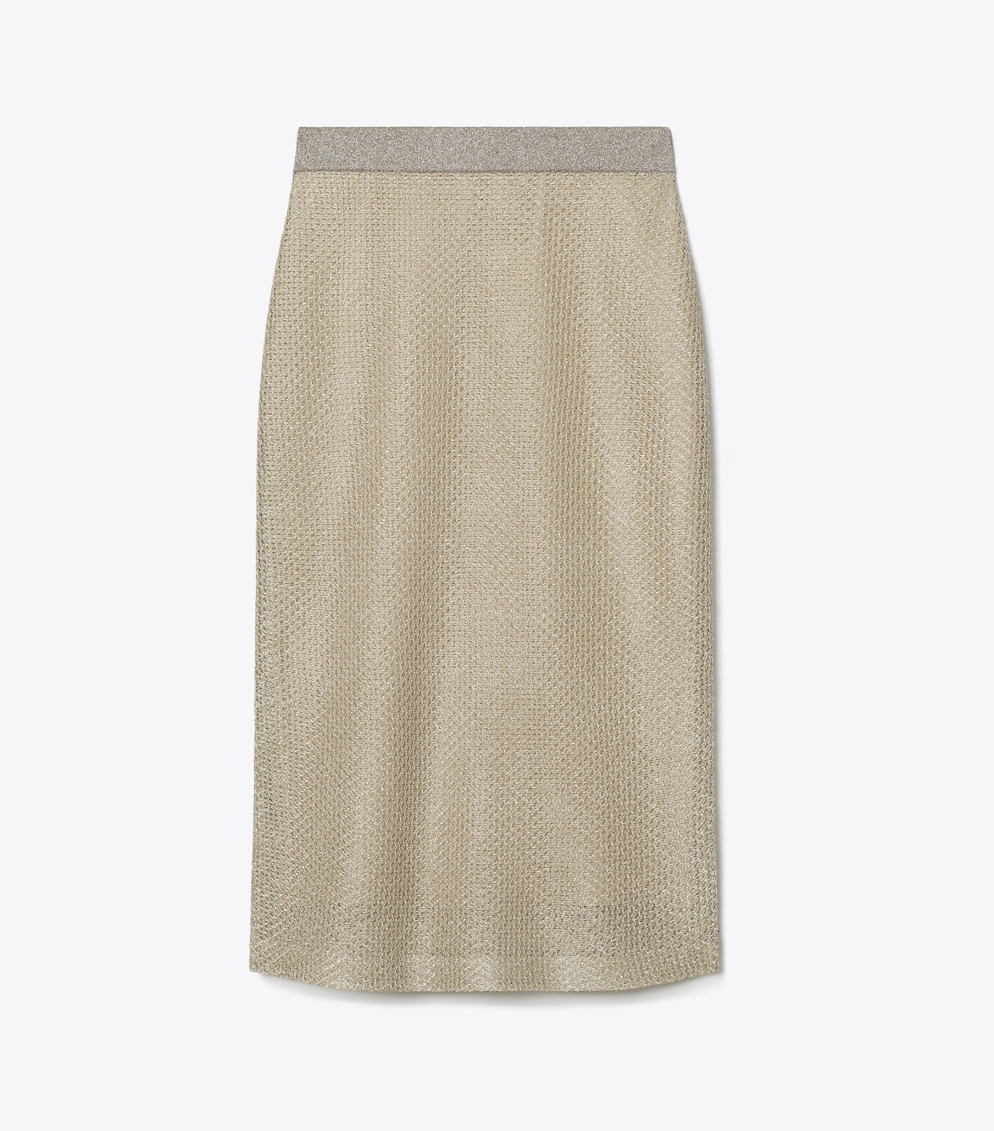 Mesh Skirt