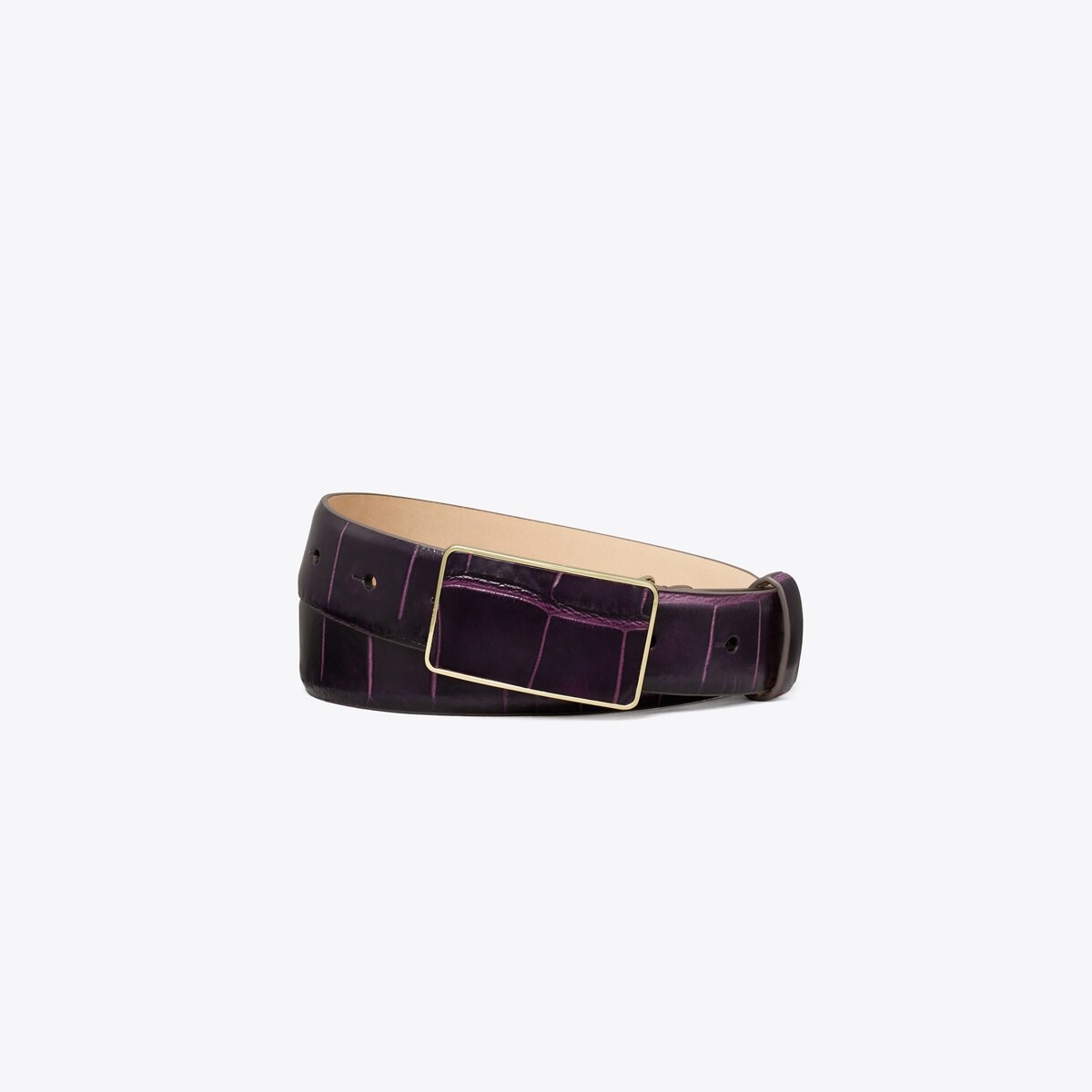 Plate Croc-Embossed Belt: Women display picture 2