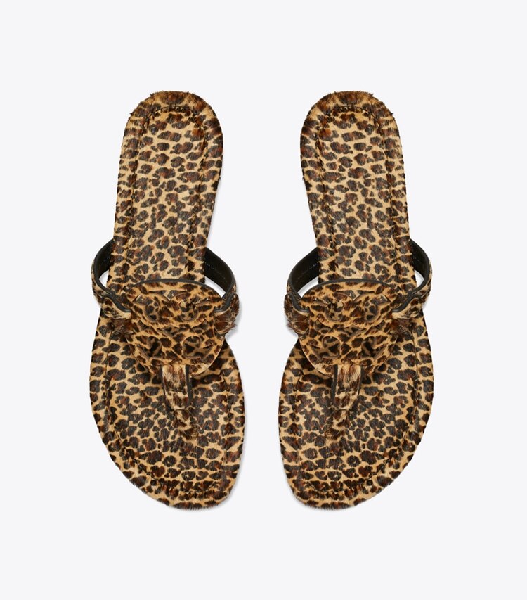 Tory Burch designer sandales Sandale Miller en cuir de veau façon poulain imprimé dans LEOPARD MULTI vue du dessus