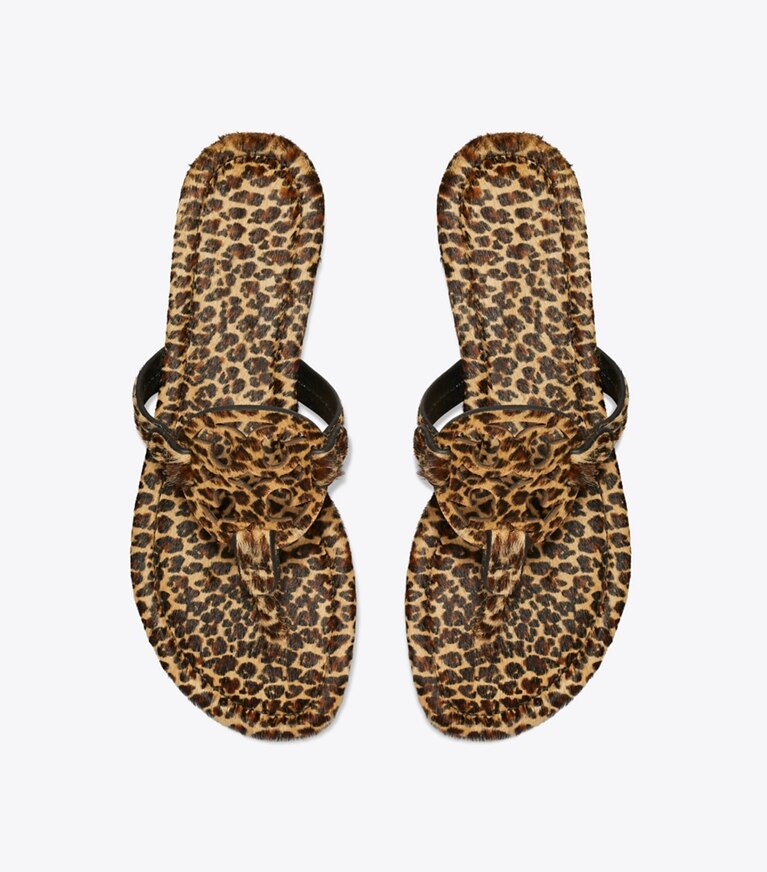 Tory Burch designer sandales Sandale Miller en cuir de veau façon poulain imprimé dans LEOPARD MULTI vue du dessus