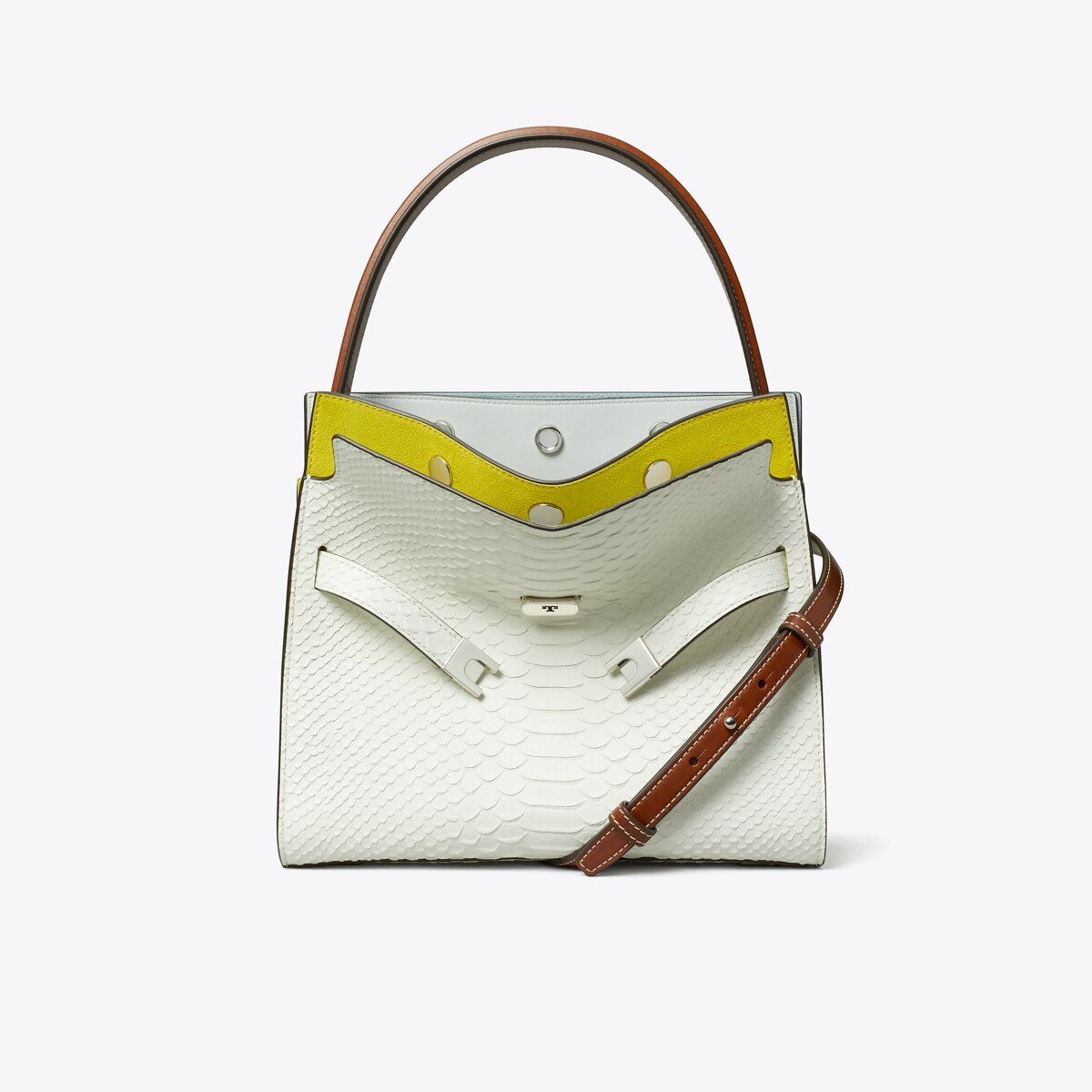 small-lee-radziwill-snake-
