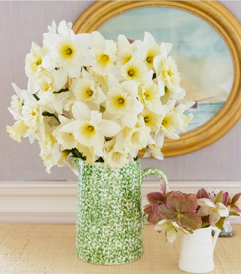 Tory Burch designer tabletop & drinkware Spongeware Pitcher in Green/Sponge front
