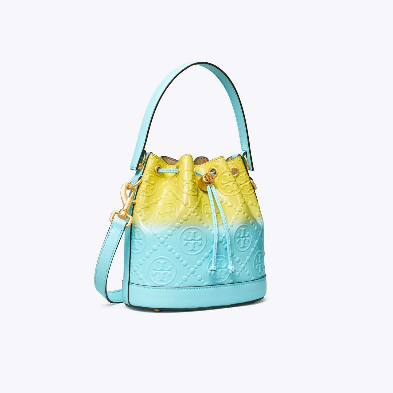 T Monogram Dip-Dye Bucket Bag: Women's Designer Crossbody Bags
