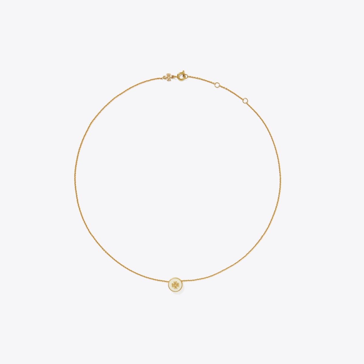 アイコン エナメル ペンダント ネックレス: レディース ネックレス